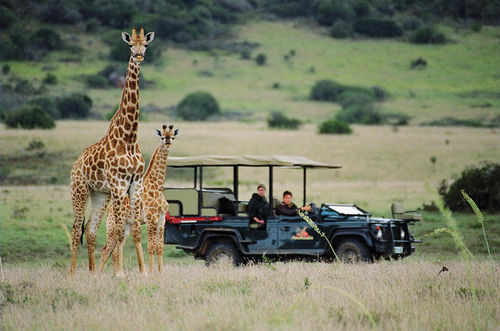 Amakhala Safari Lodge Paterson Εξωτερικό φωτογραφία