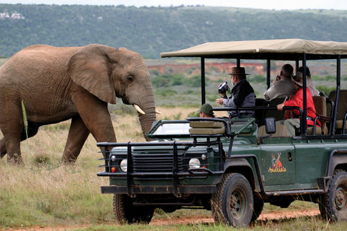 Amakhala Safari Lodge Paterson Εξωτερικό φωτογραφία