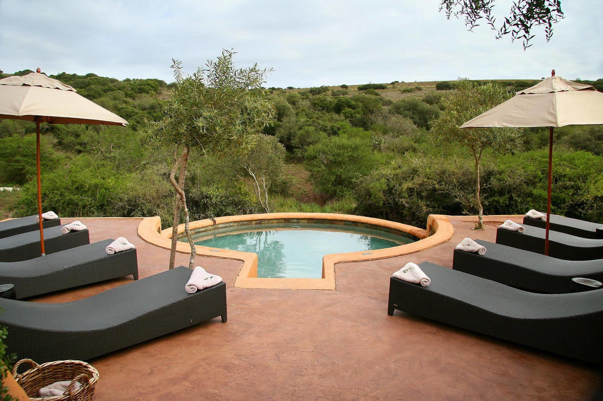 Amakhala Safari Lodge Paterson Εξωτερικό φωτογραφία